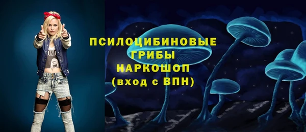 твердый Абинск