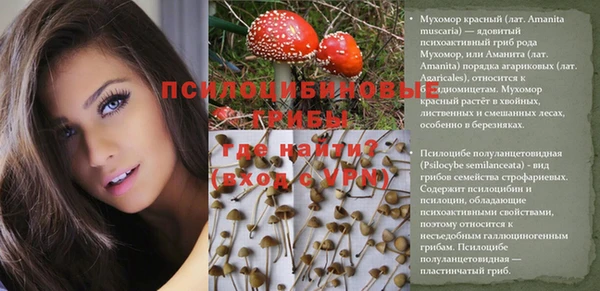 твердый Абинск