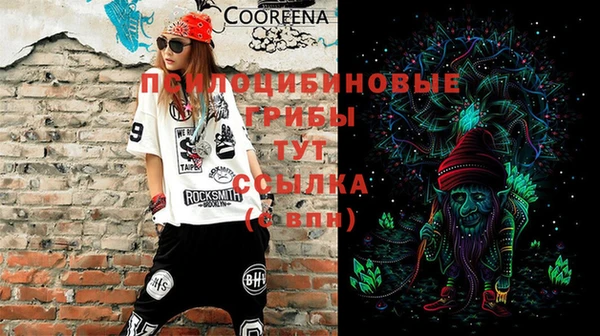 твердый Абинск