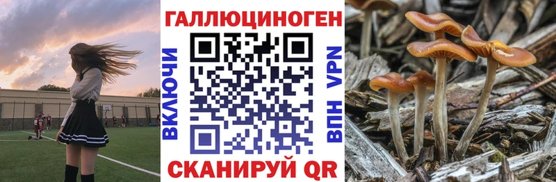 Псилоцибиновые грибы ЛСД закладки Невельск